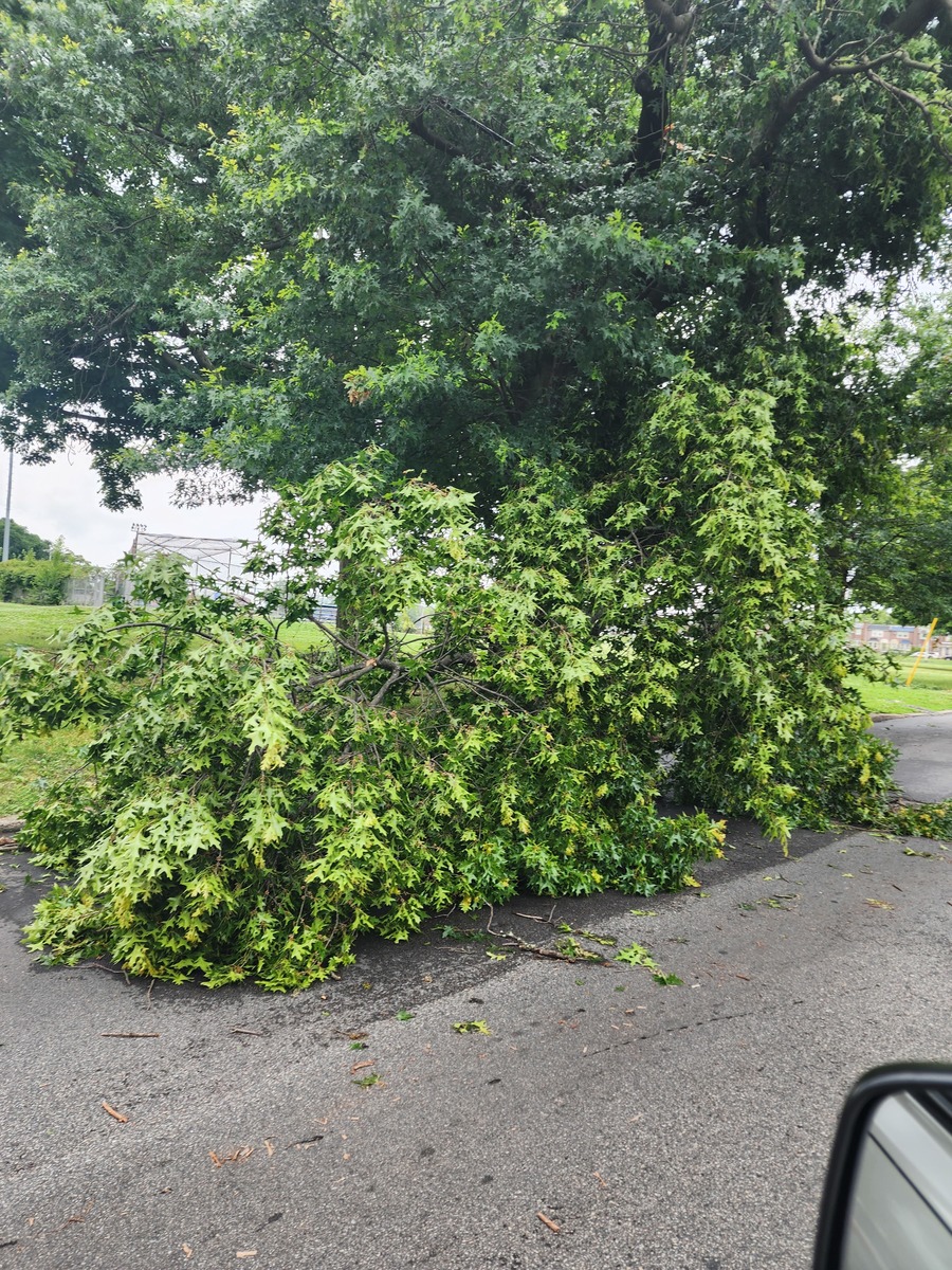 Photographic documentation of the work as submitted to the city's 311 record.