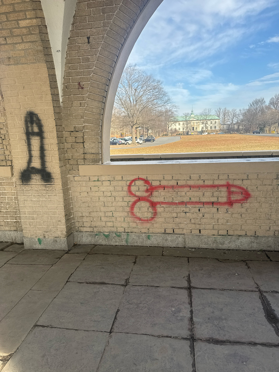 Photographic documentation of the work as submitted to the city's 311 record.