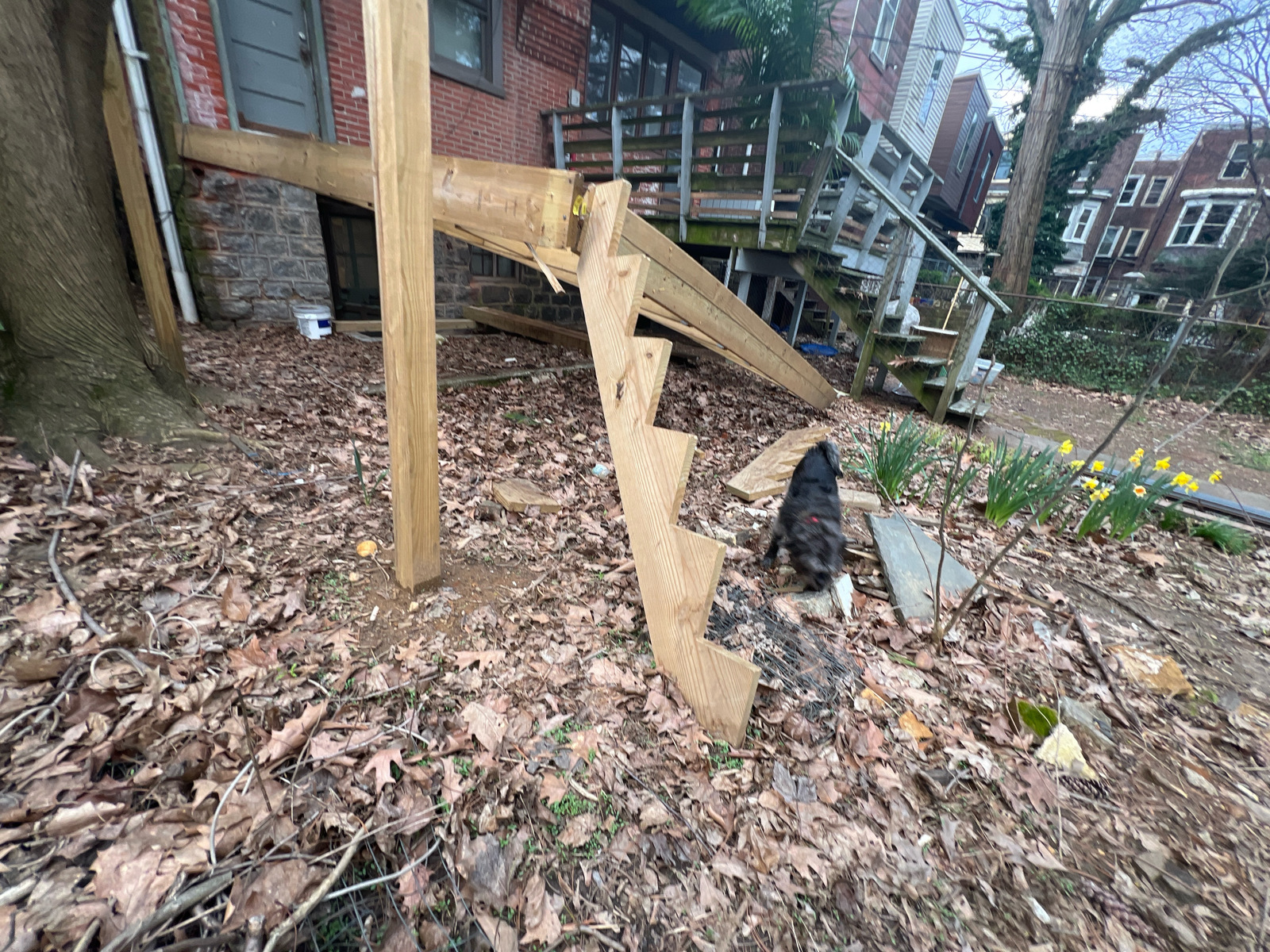 Photographic documentation of the work as submitted to the city's 311 record.