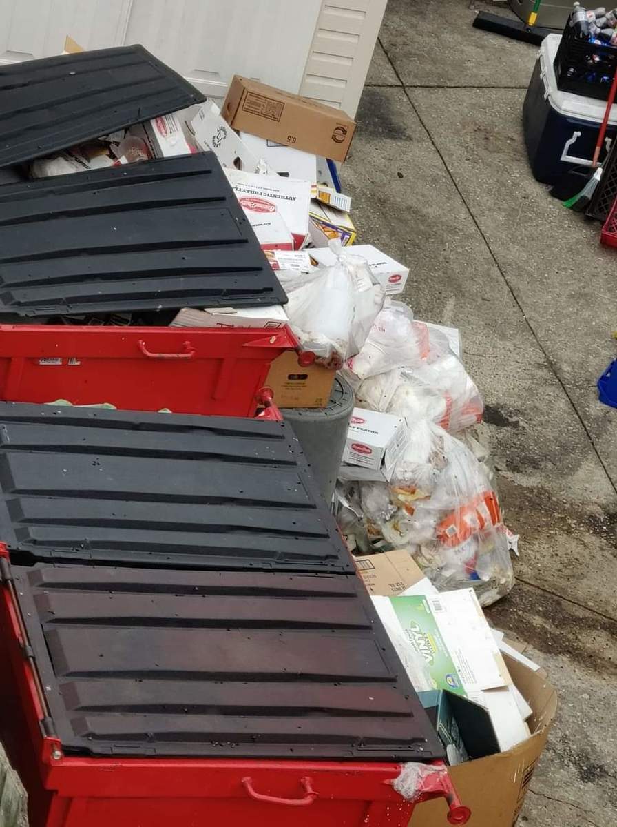 Photographic documentation of the work as submitted to the city's 311 record.