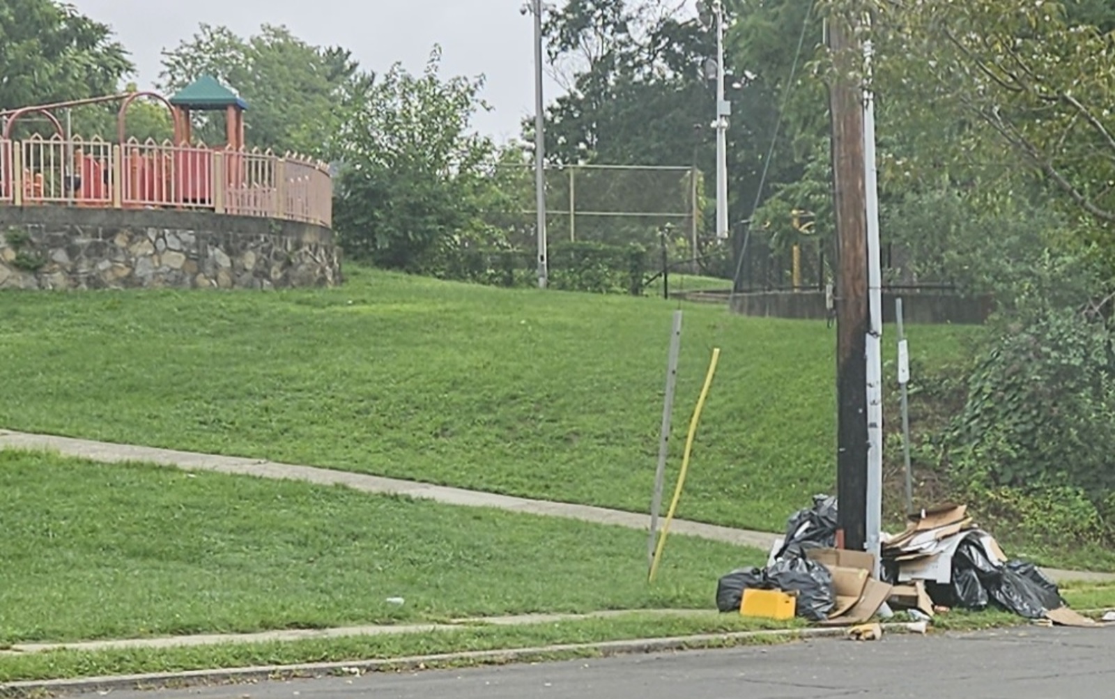 Photographic documentation of the work as submitted to the city's 311 record.