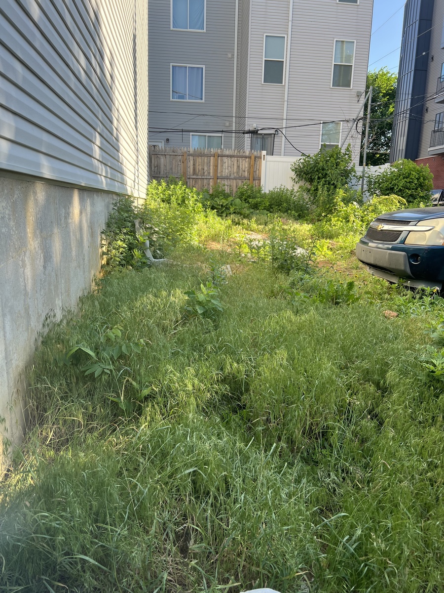 Photographic documentation of the work as submitted to the city's 311 record.