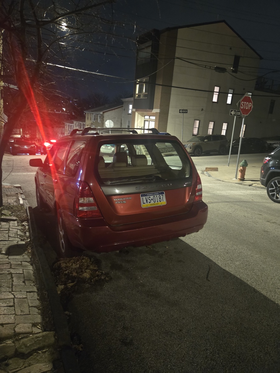 Photographic documentation of the work as submitted to the city's 311 record.