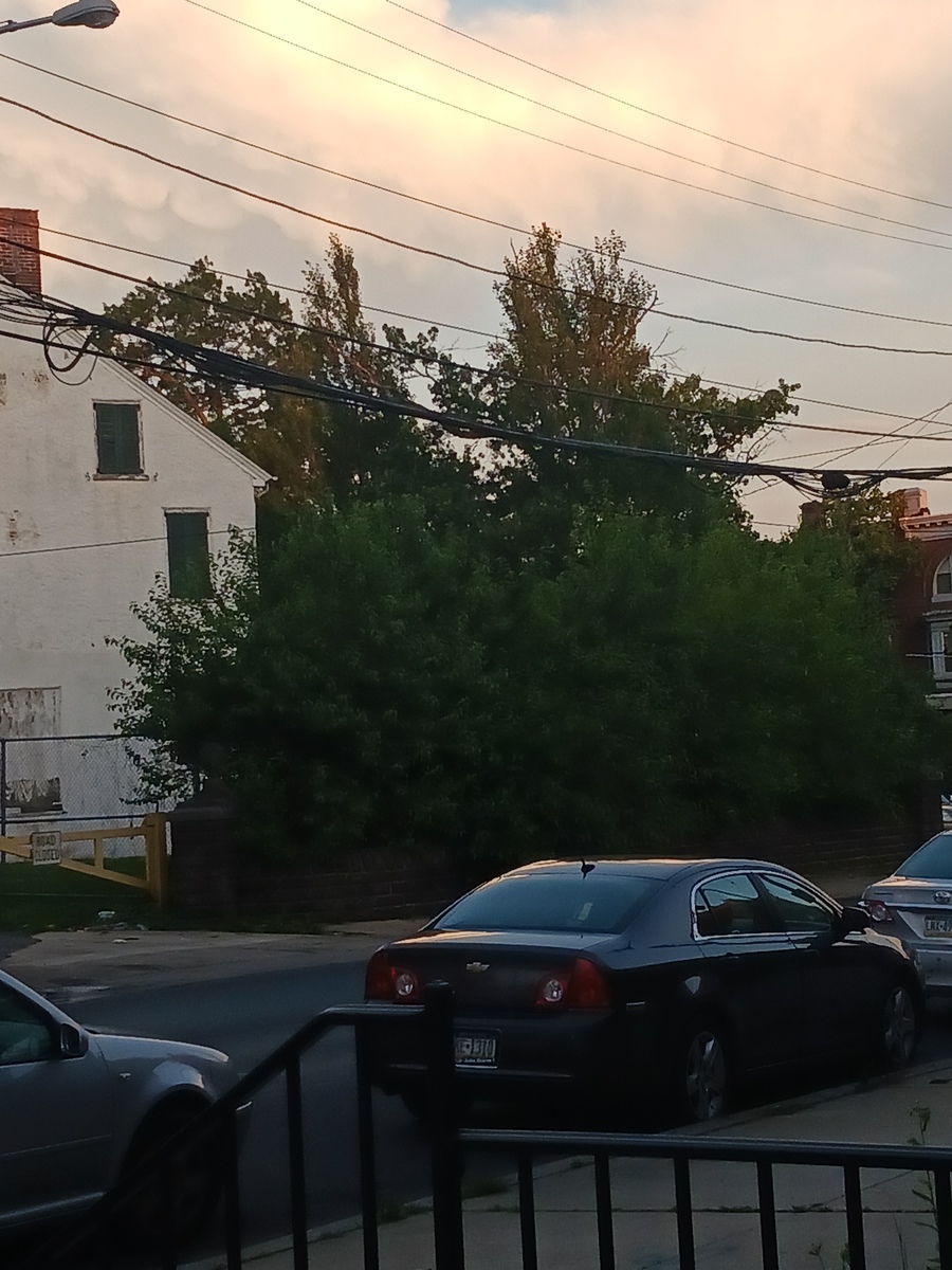 Photographic documentation of the work as submitted to the city's 311 record.
