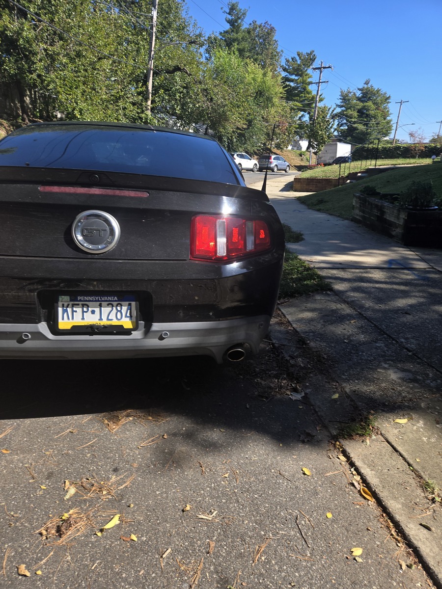 Photographic documentation of the work as submitted to the city's 311 record.