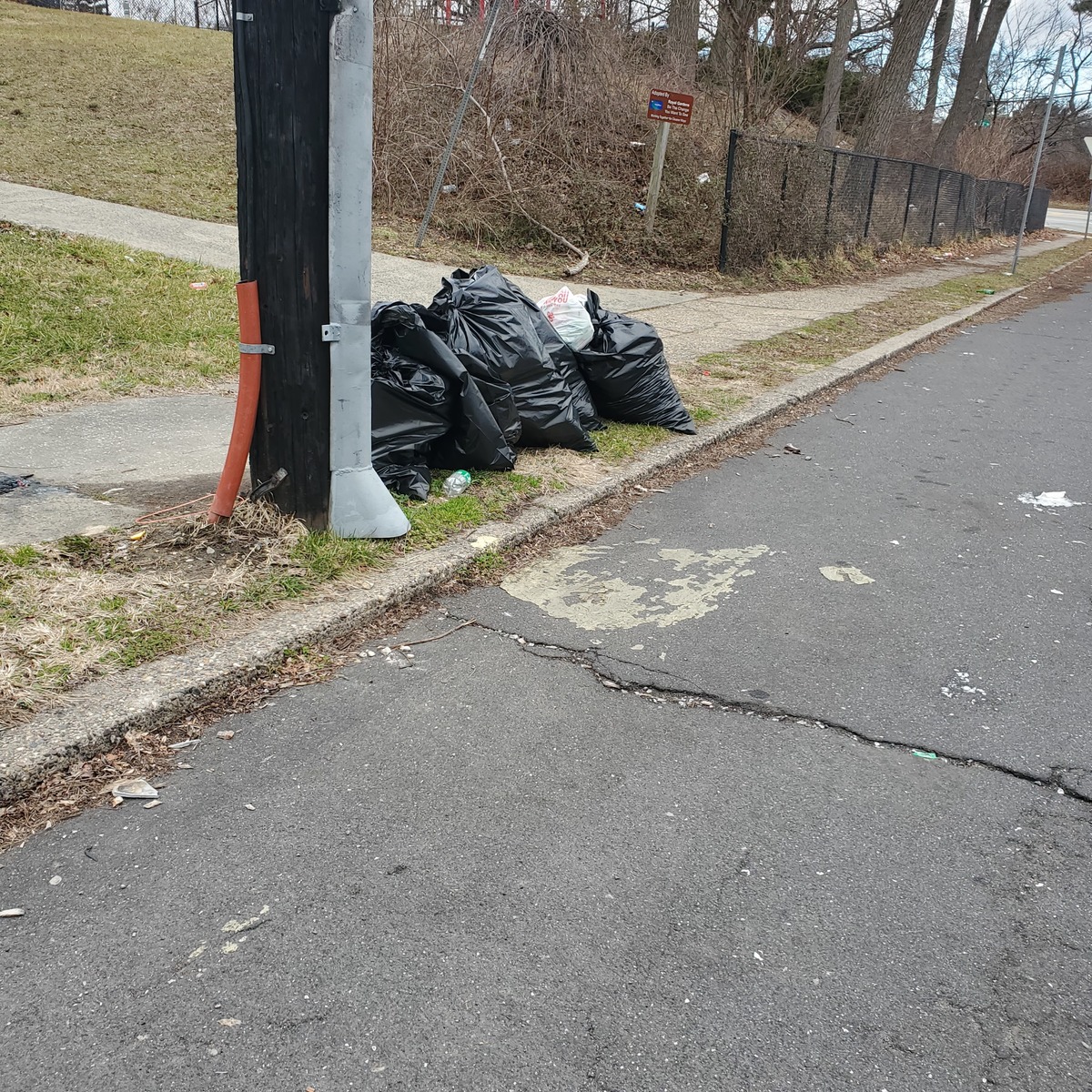 Photographic documentation of the work as submitted to the city's 311 record.