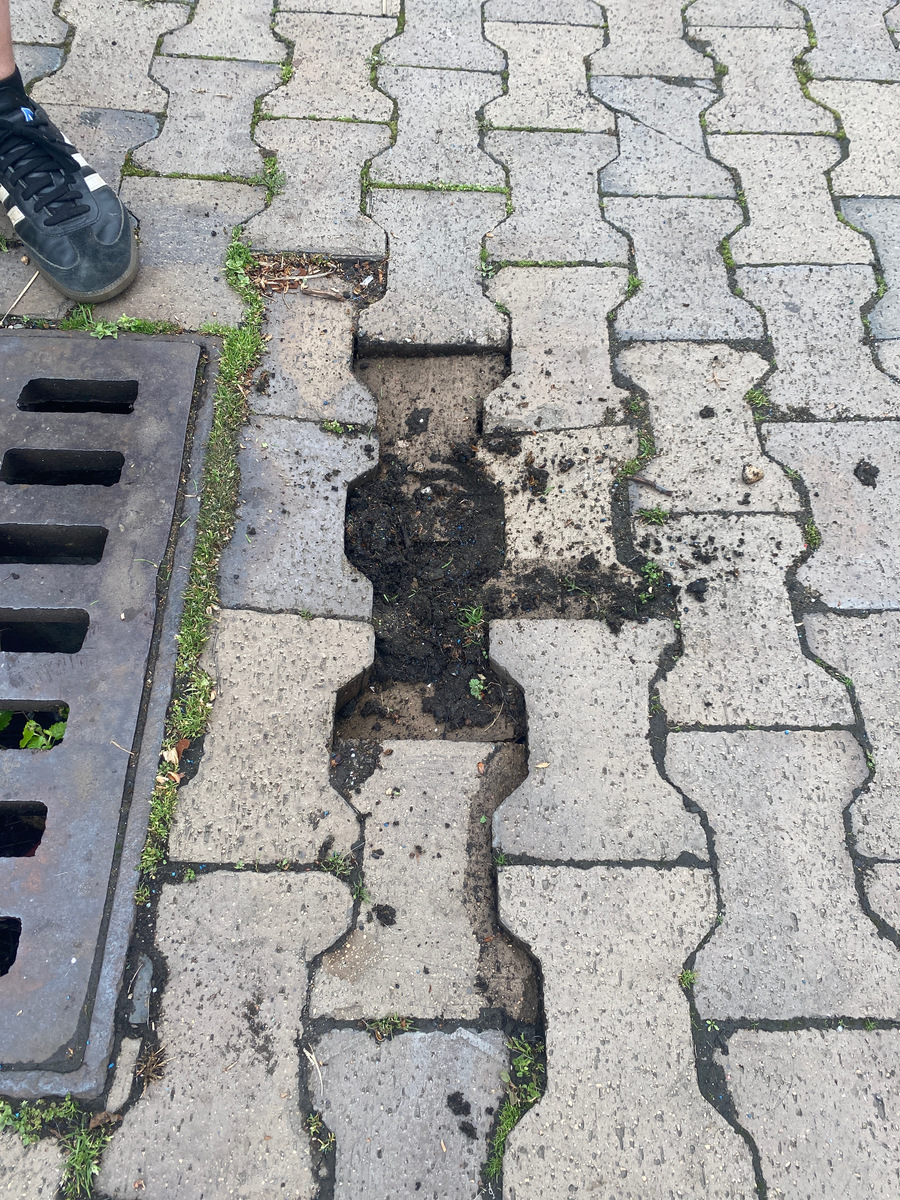 Photographic documentation of the work as submitted to the city's 311 record.