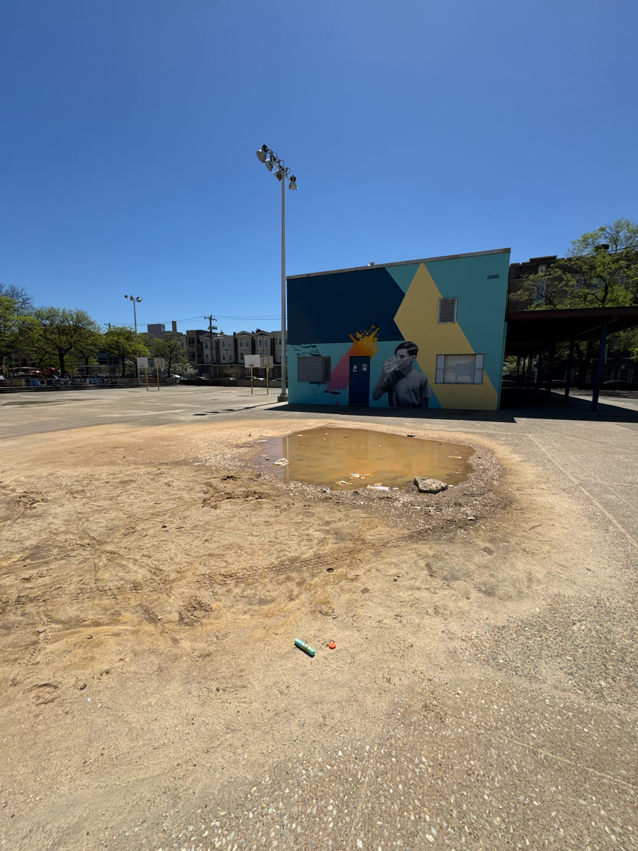 Photographic documentation of the work as submitted to the city's 311 record.