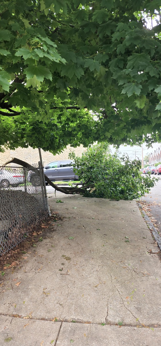 Photographic documentation of the work as submitted to the city's 311 record.