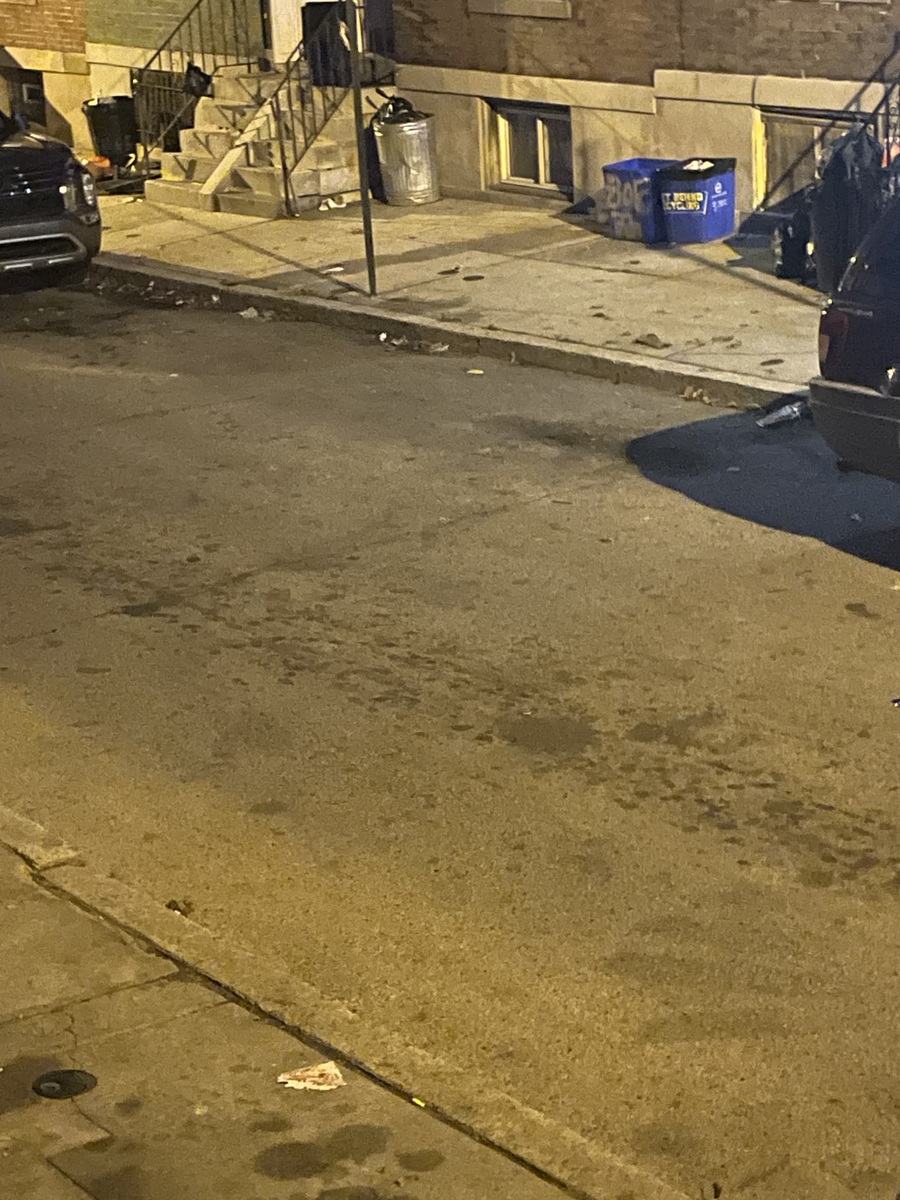 Photographic documentation of the work as submitted to the city's 311 record.