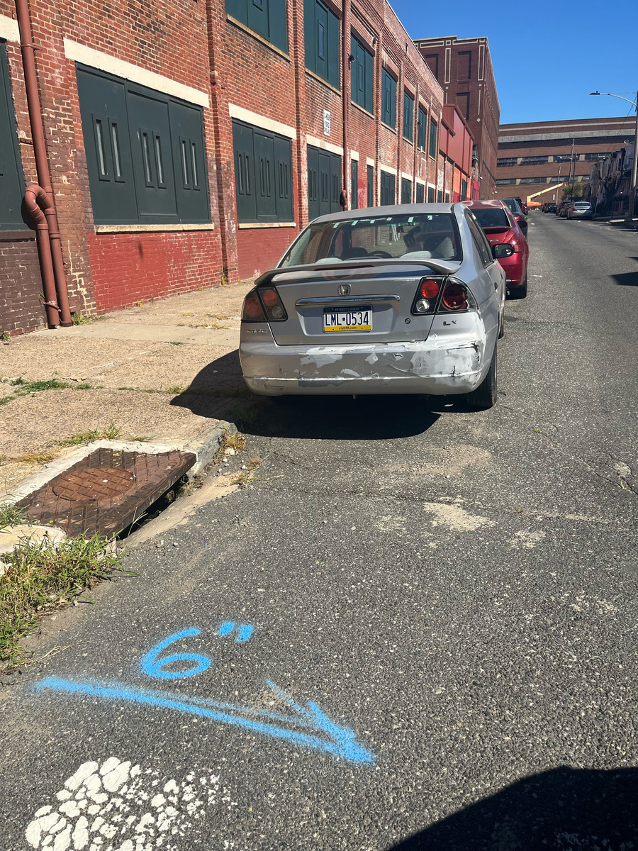 Photographic documentation of the work as submitted to the city's 311 record.