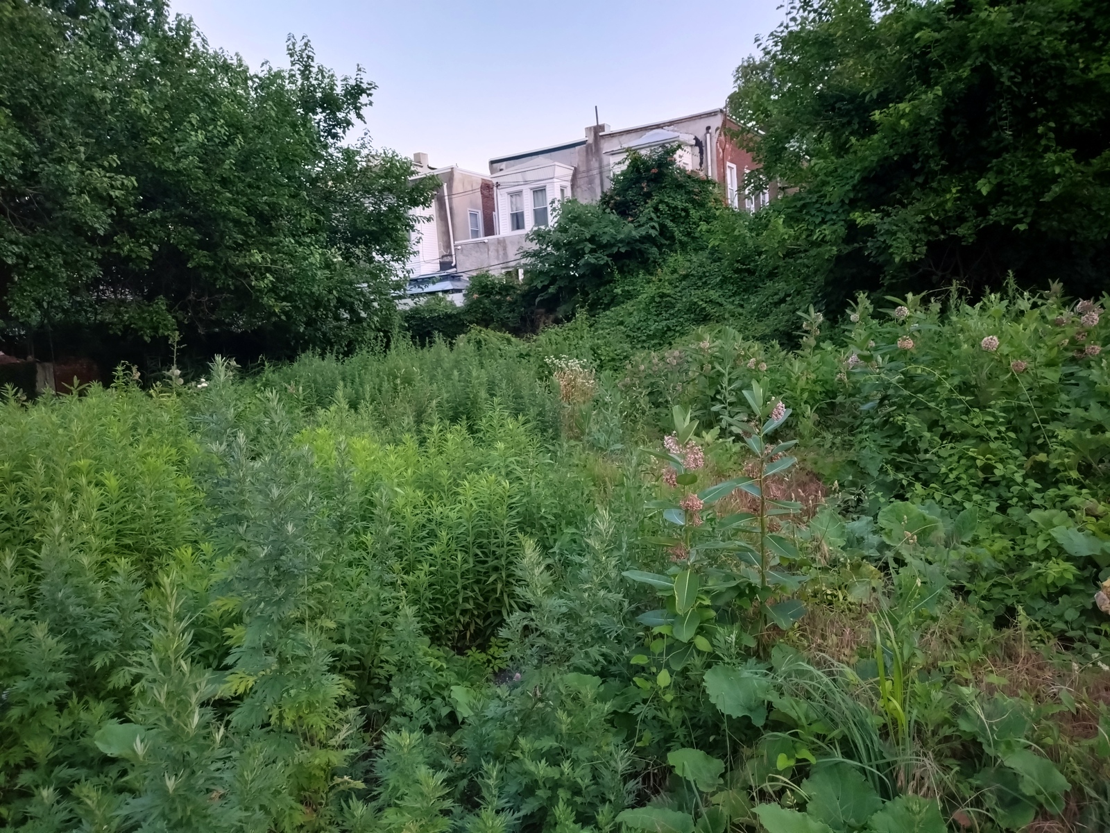 Photographic documentation of the work as submitted to the city's 311 record.