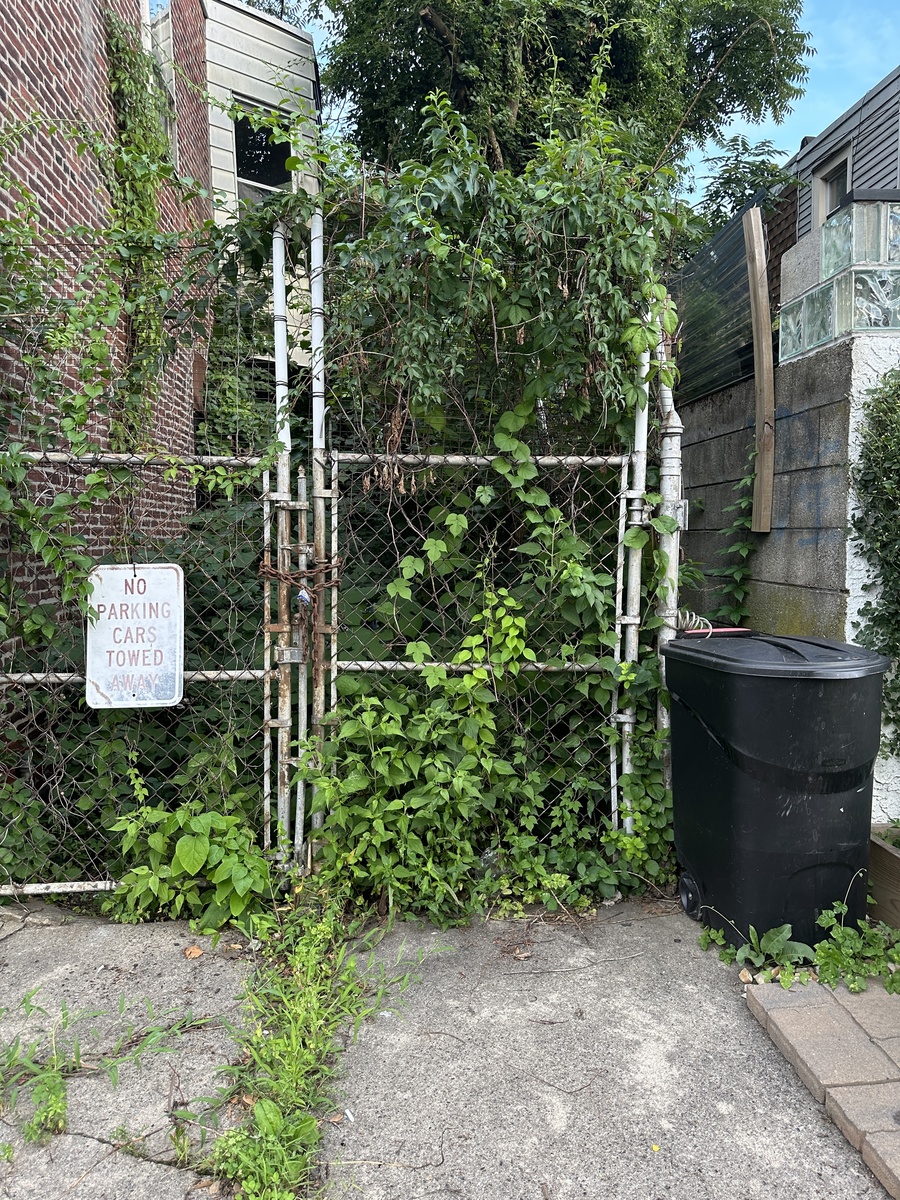 Photographic documentation of the work as submitted to the city's 311 record.