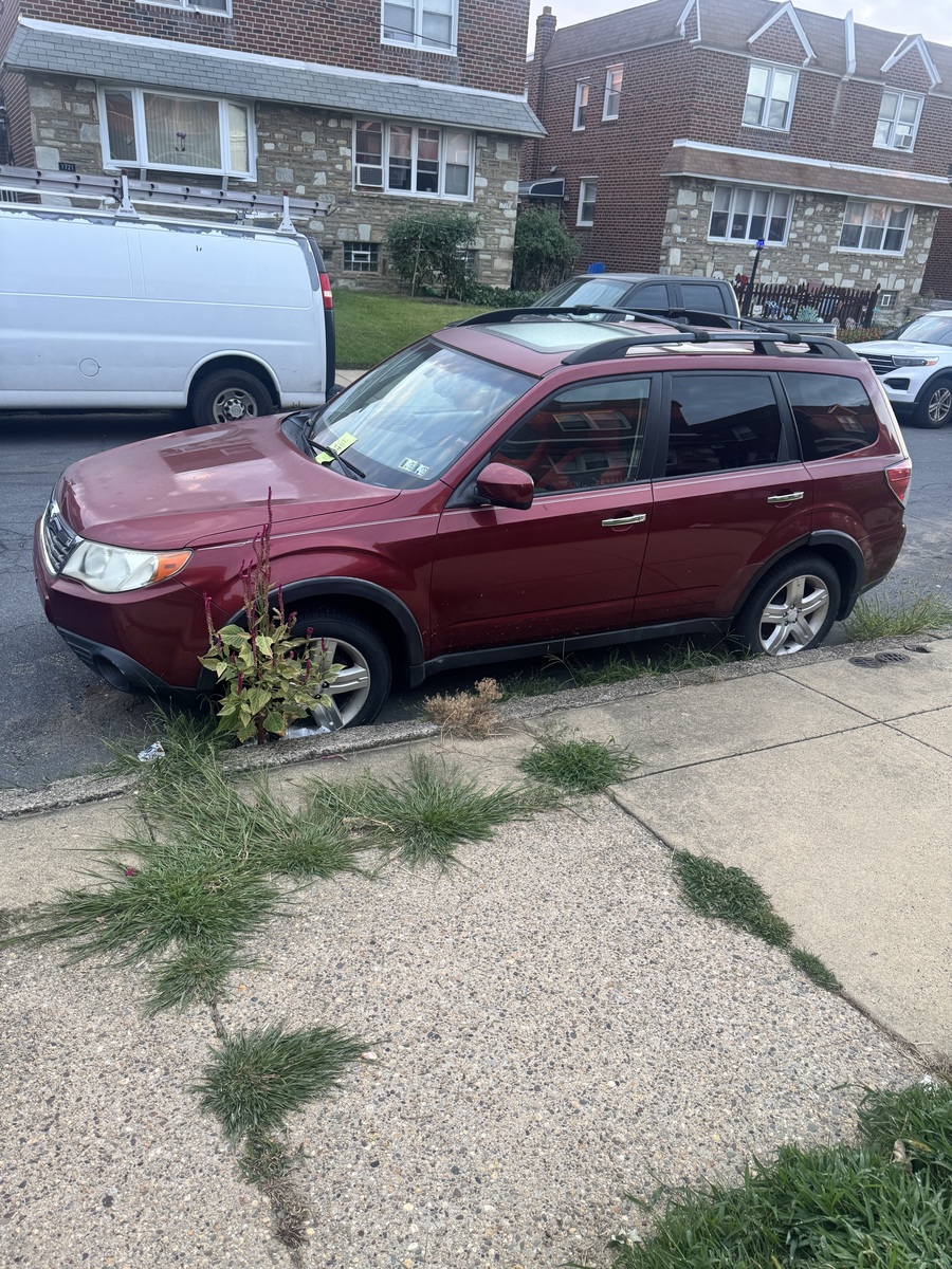 Photographic documentation of the work as submitted to the city's 311 record.