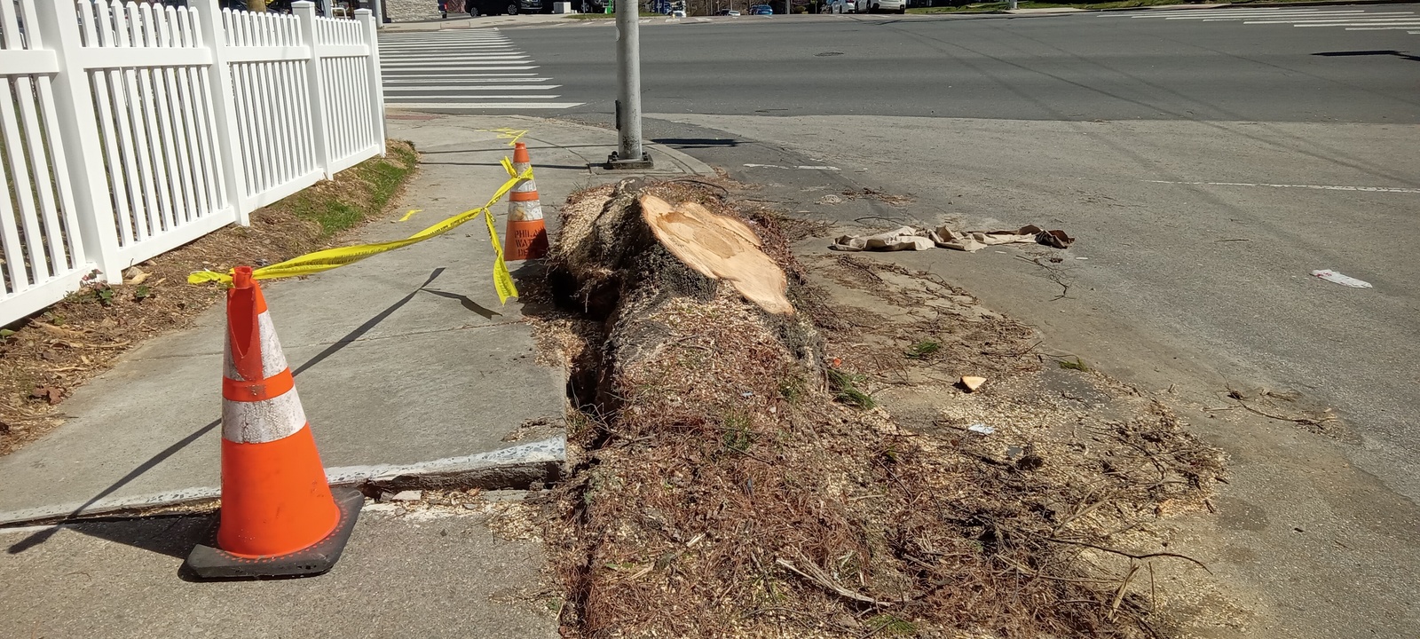 Photographic documentation of the work as submitted to the city's 311 record.