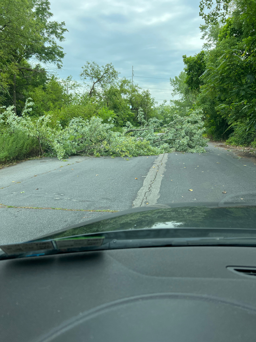 Photographic documentation of the work as submitted to the city's 311 record.