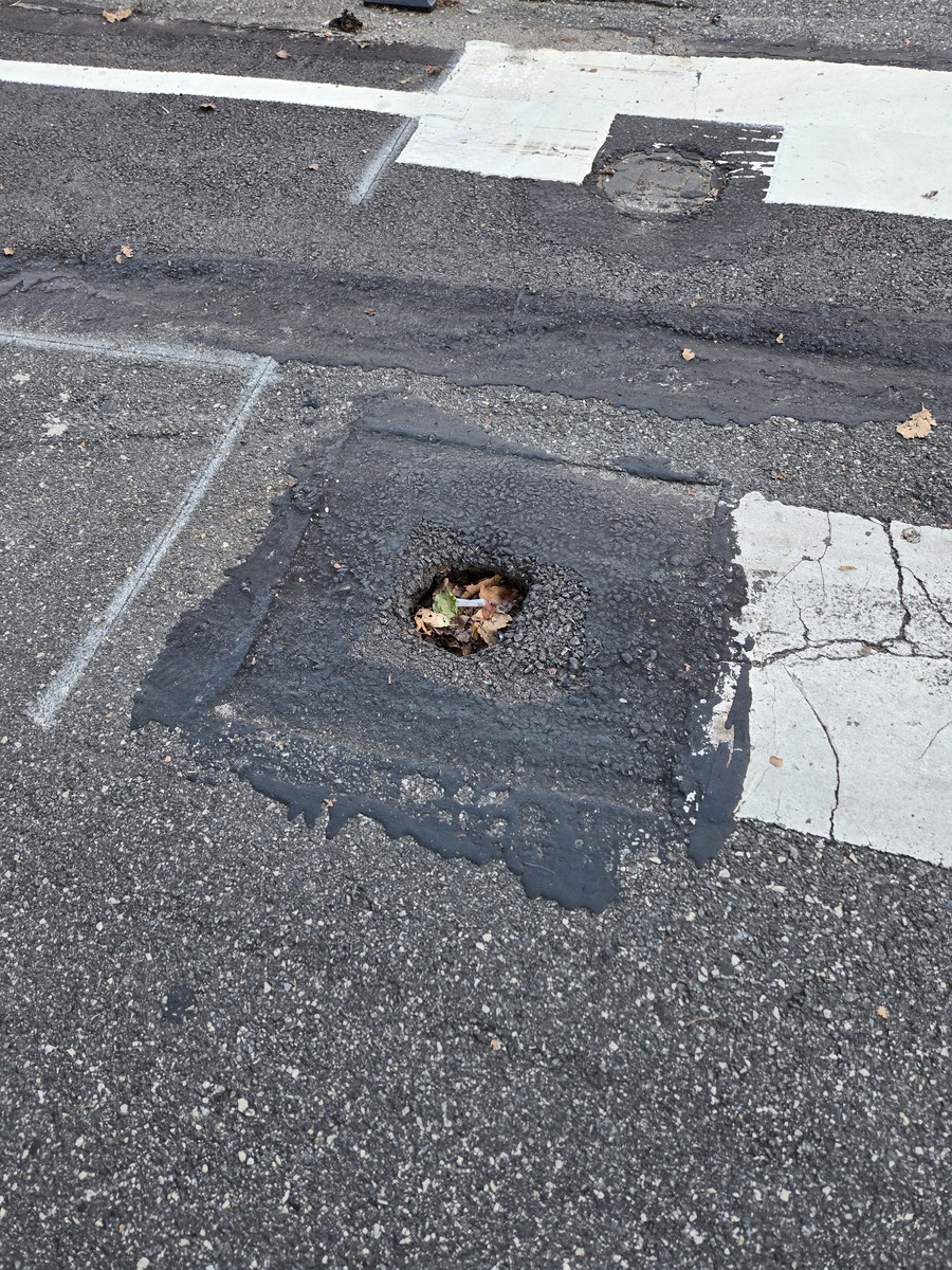 Photographic documentation of the work as submitted to the city's 311 record.