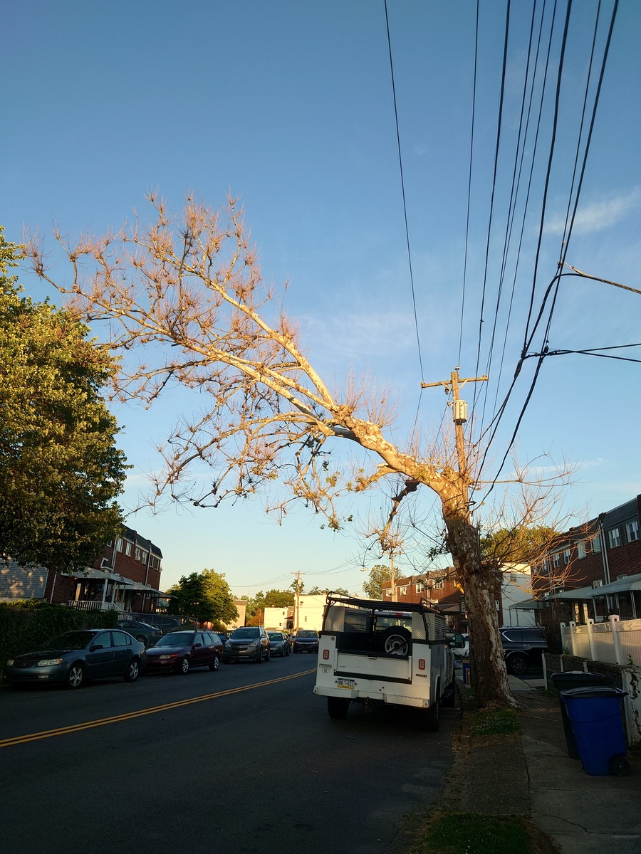 Photographic documentation of the work as submitted to the city's 311 record.