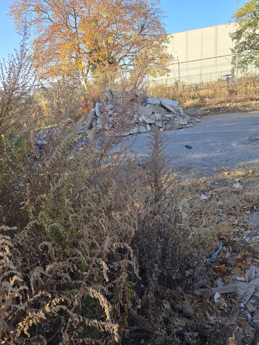 Photographic documentation of the work as submitted to the city's 311 record.