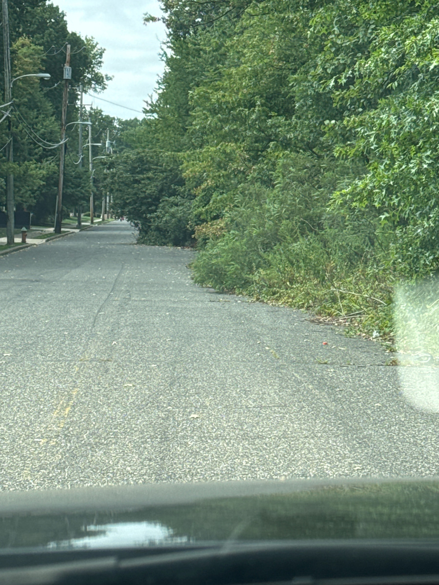 Photographic documentation of the work as submitted to the city's 311 record.
