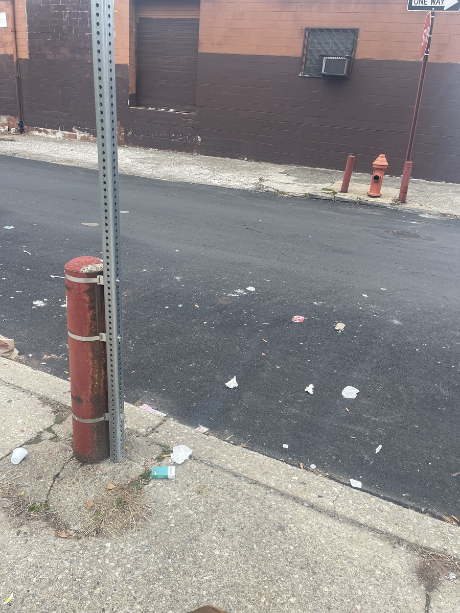 Photographic documentation of the work as submitted to the city's 311 record.