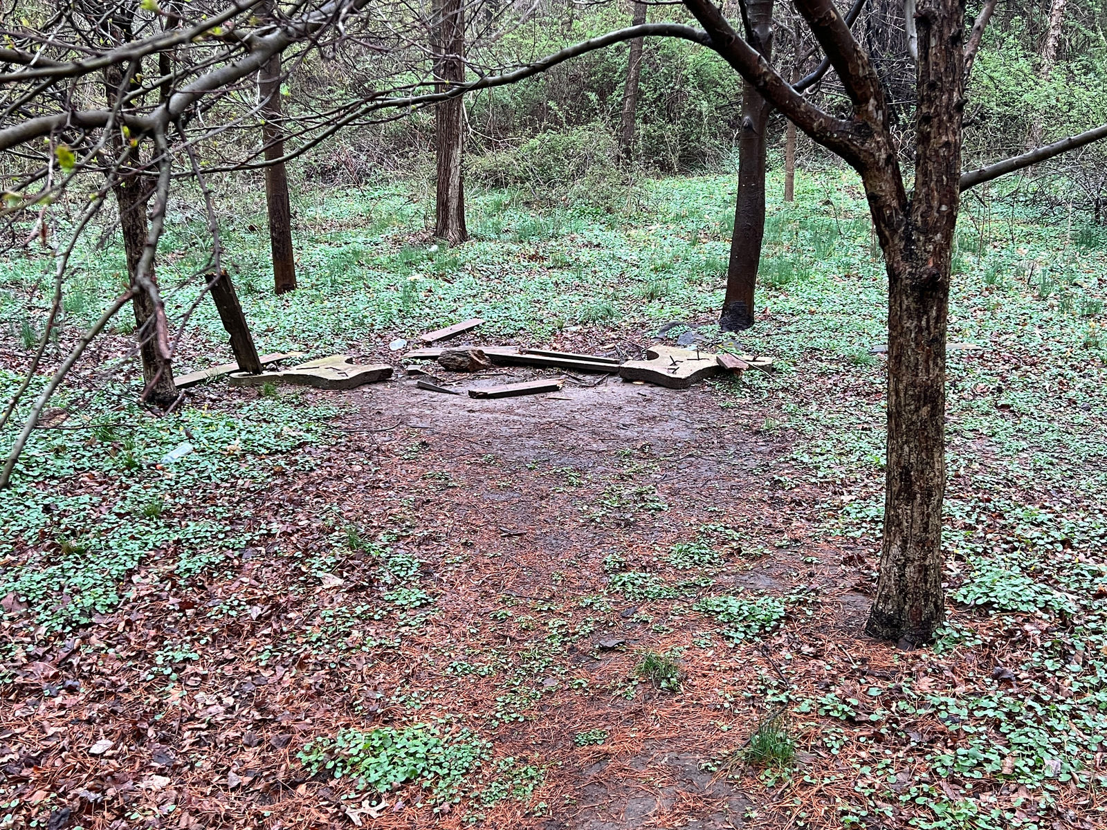 Photographic documentation of the work as submitted to the city's 311 record.