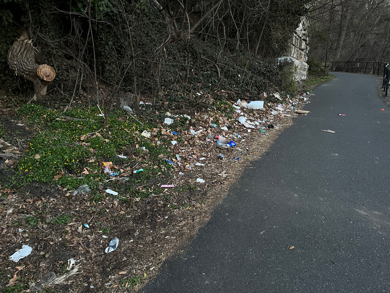 Photographic documentation of the work as submitted to the city's 311 record.