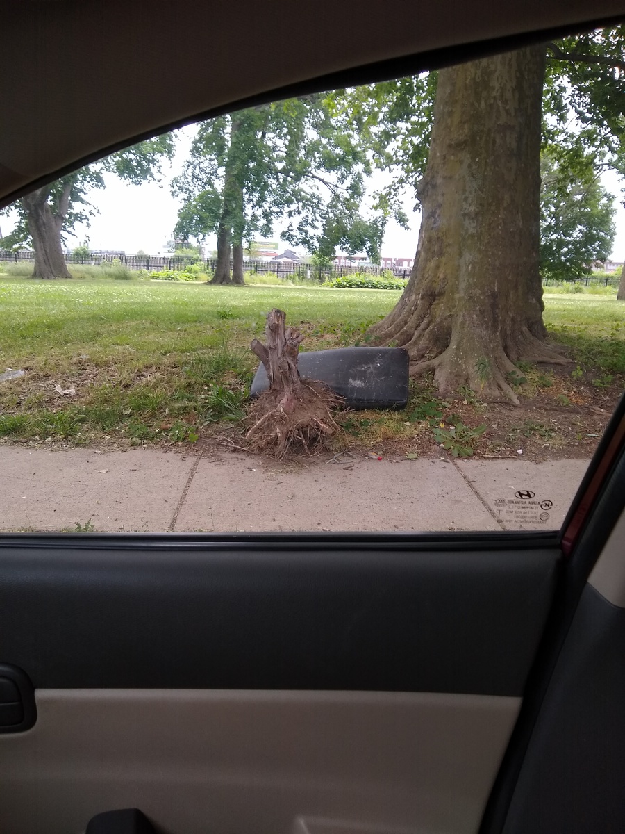 Photographic documentation of the work as submitted to the city's 311 record.