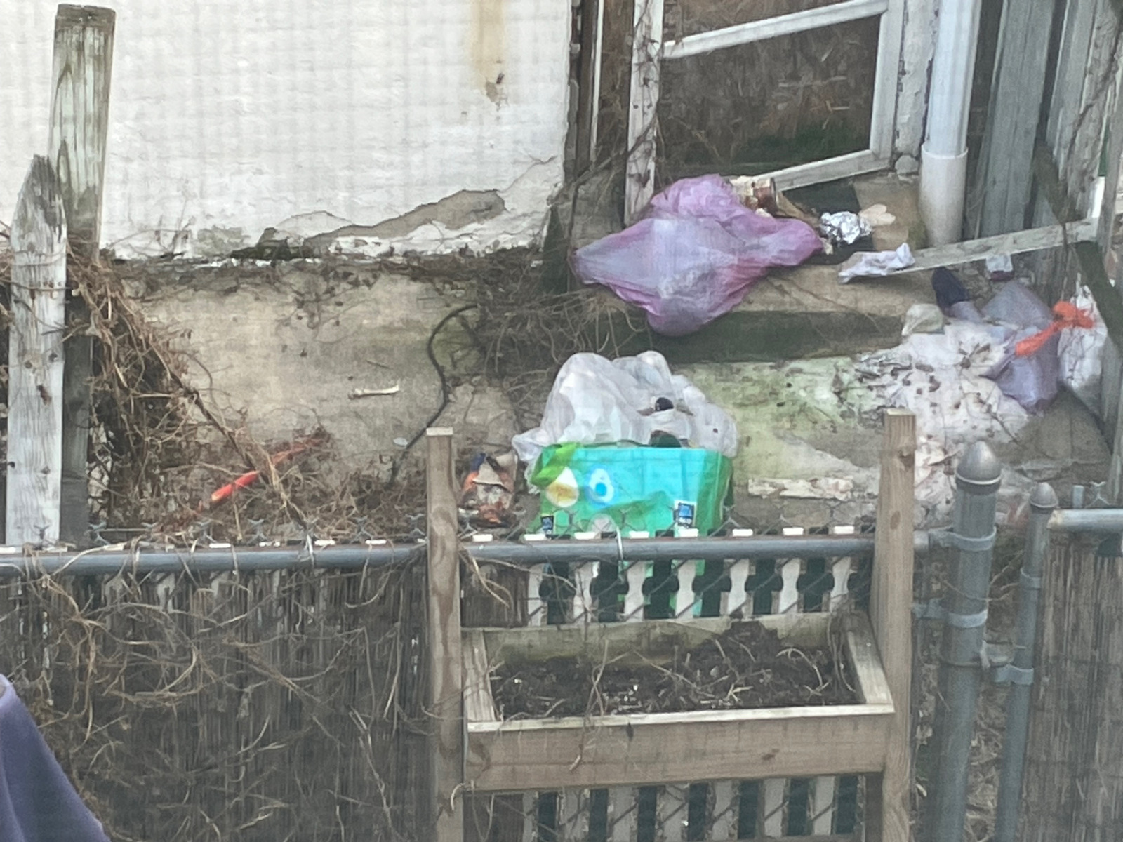 Photographic documentation of the work as submitted to the city's 311 record.