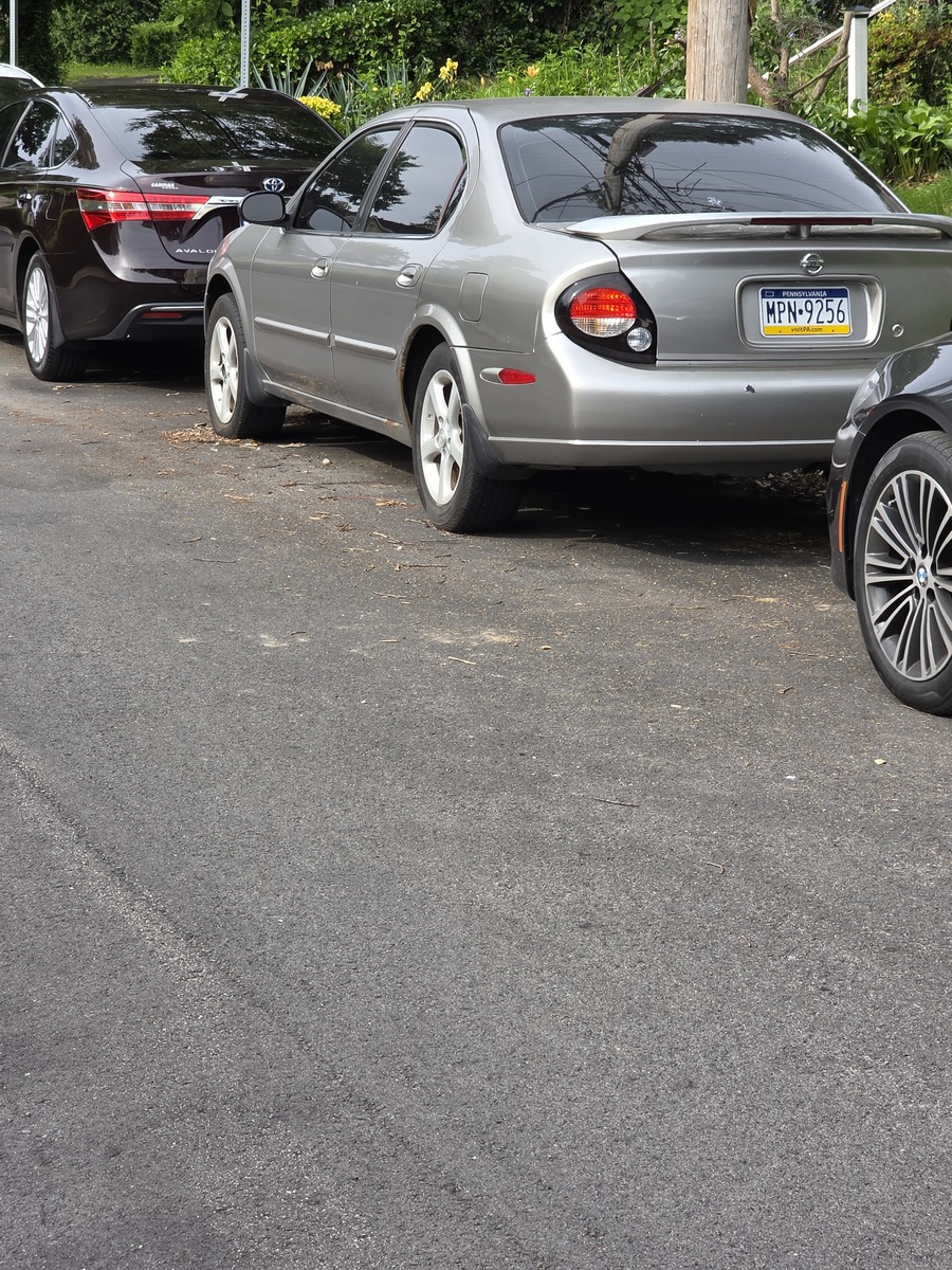 Photographic documentation of the work as submitted to the city's 311 record.