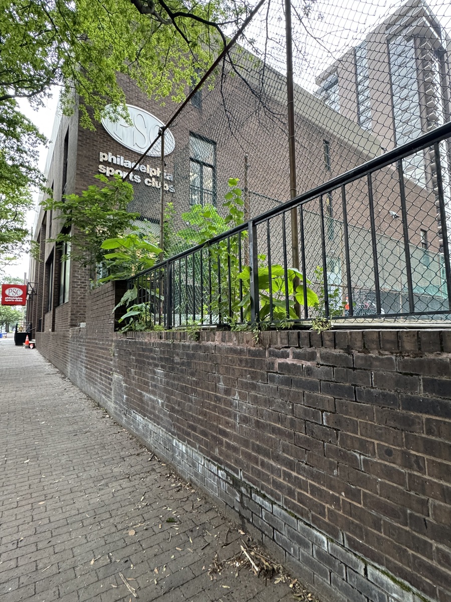 Photographic documentation of the work as submitted to the city's 311 record.