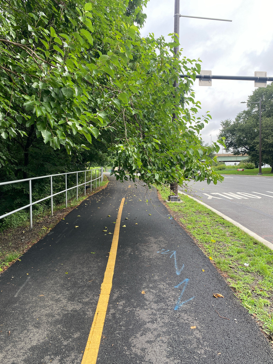 Photographic documentation of the work as submitted to the city's 311 record.