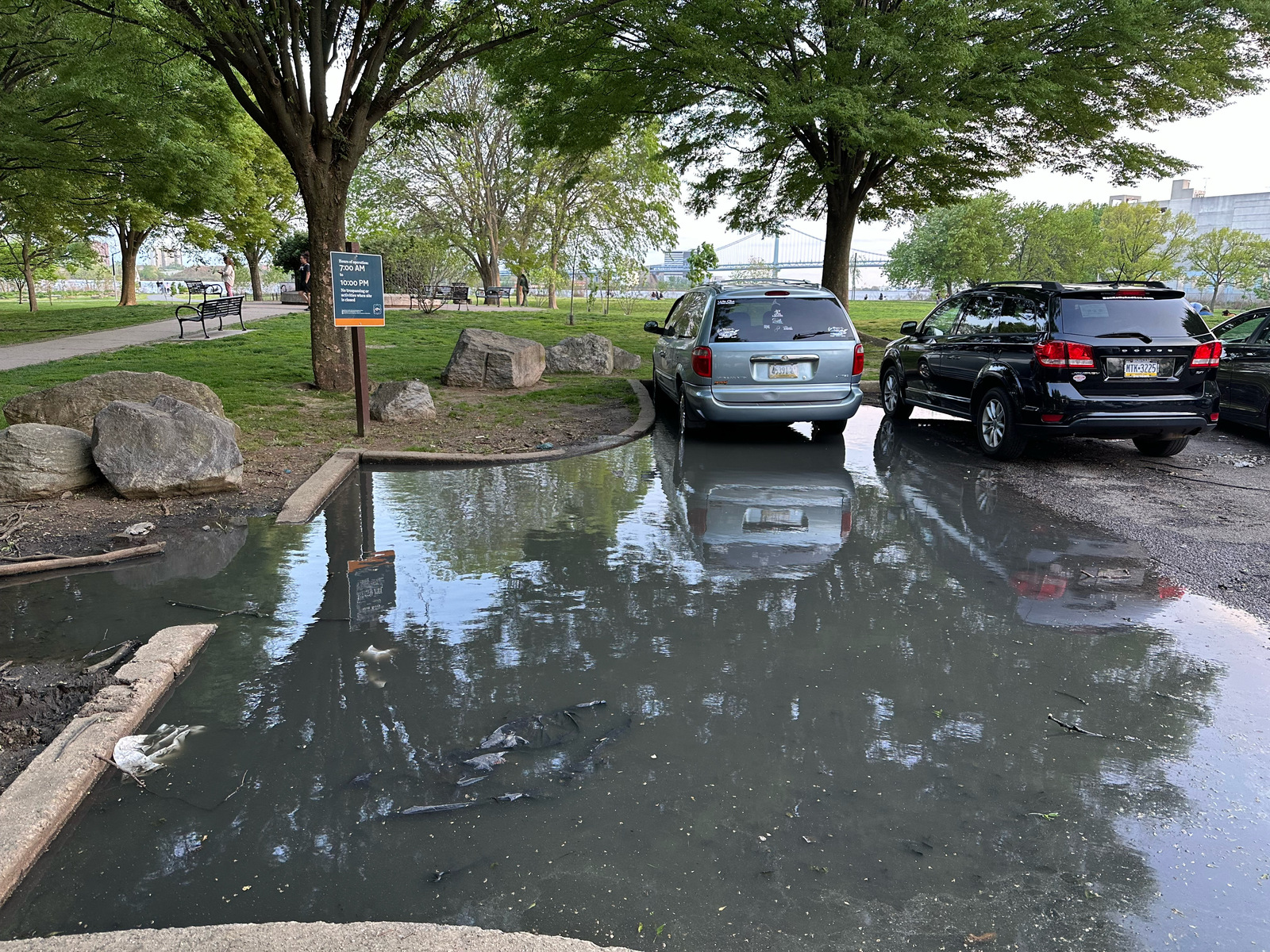 Photographic documentation of the work as submitted to the city's 311 record.