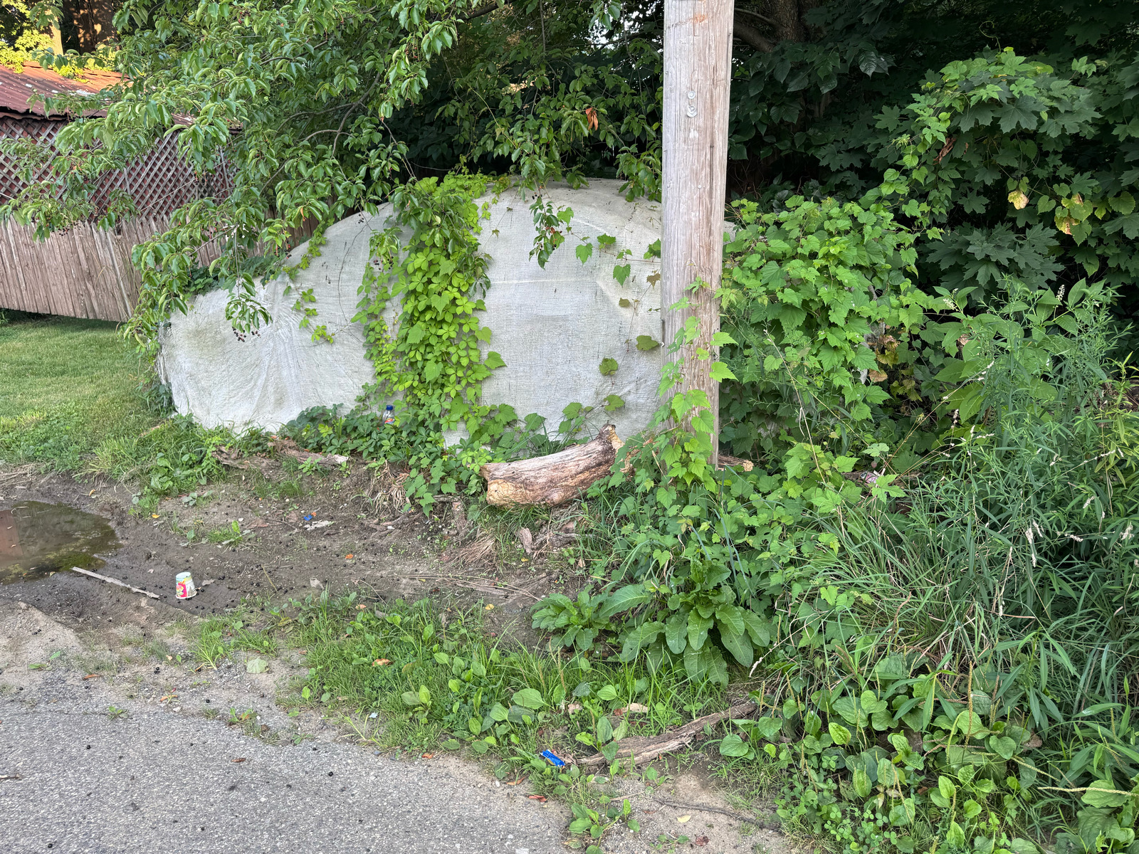 Photographic documentation of the work as submitted to the city's 311 record.