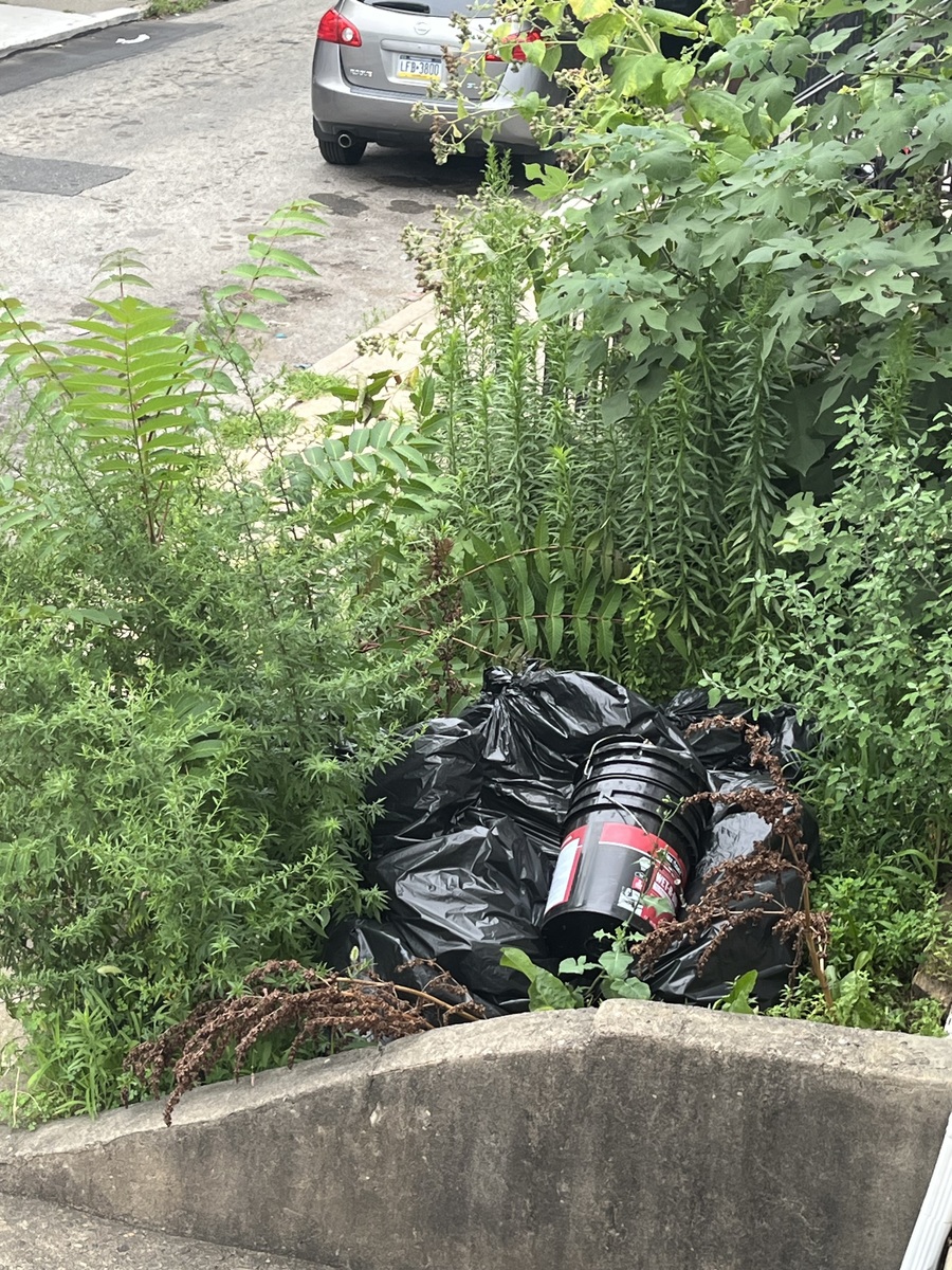 Photographic documentation of the work as submitted to the city's 311 record.