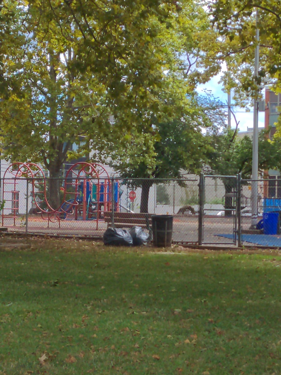 Photographic documentation of the work as submitted to the city's 311 record.