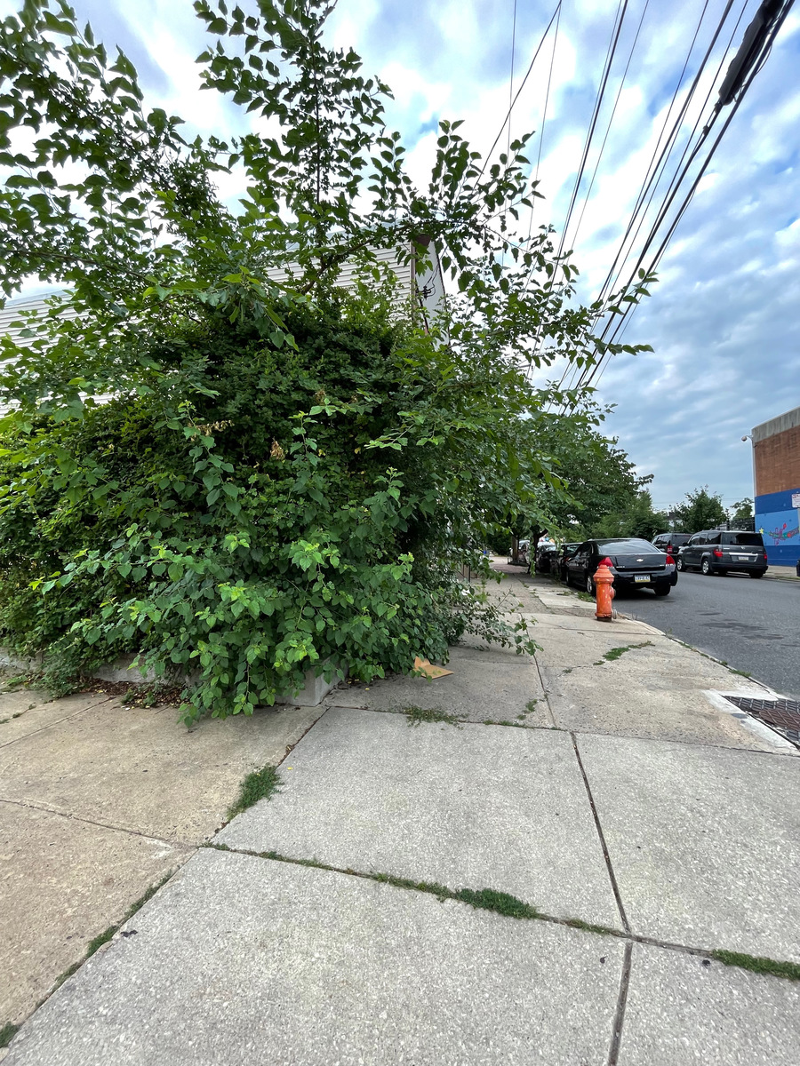 Photographic documentation of the work as submitted to the city's 311 record.