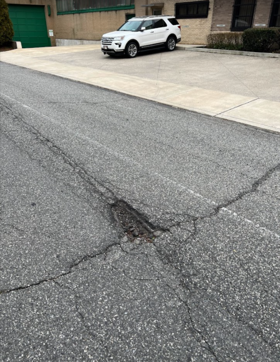 Photographic documentation of the work as submitted to the city's 311 record.