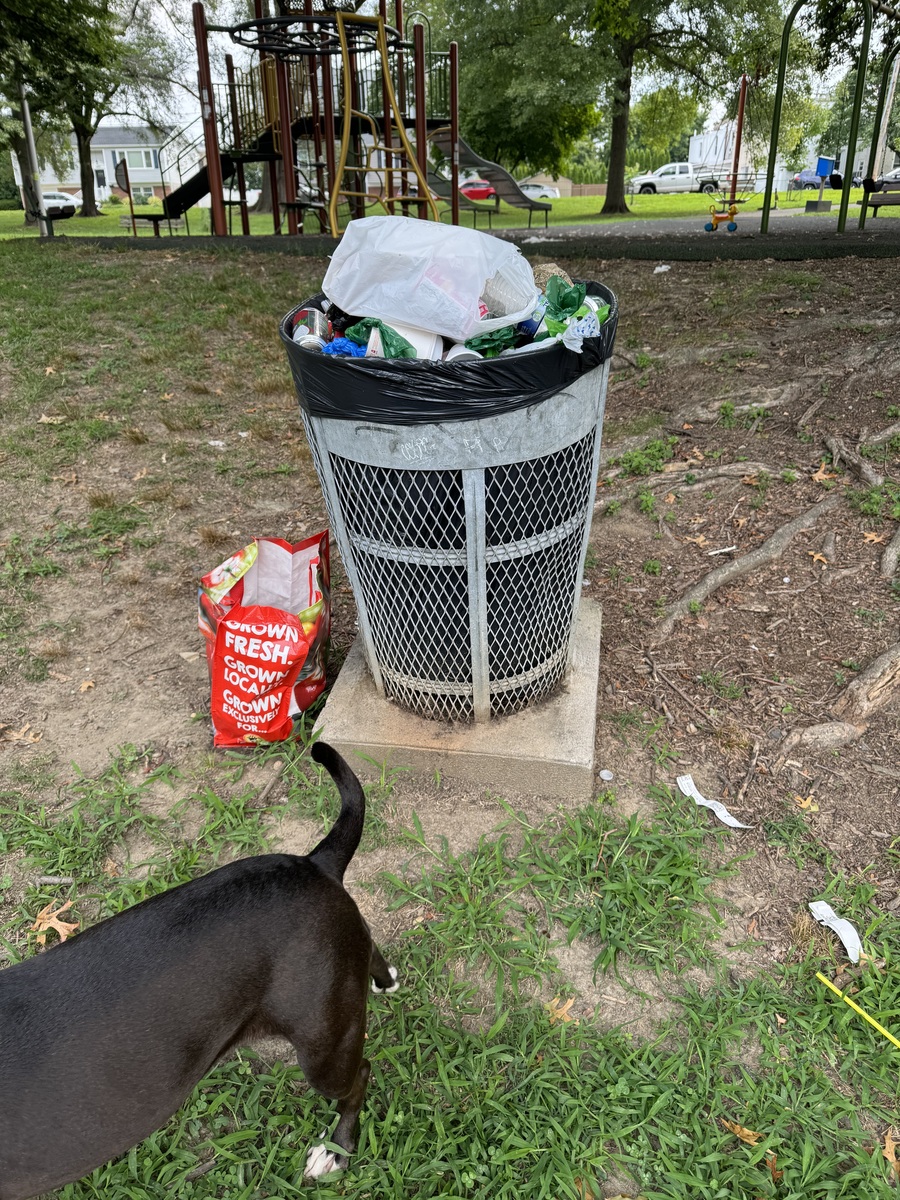 Photographic documentation of the work as submitted to the city's 311 record.