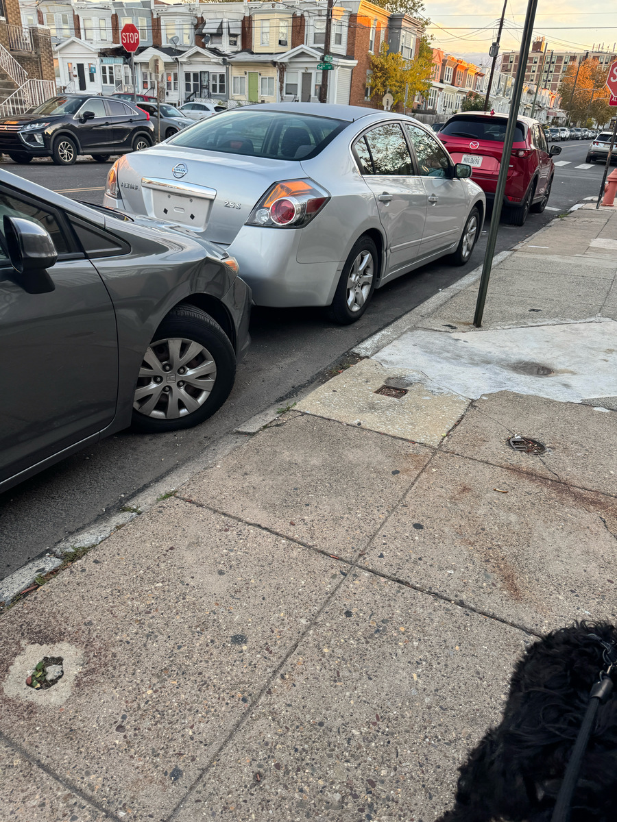 Photographic documentation of the work as submitted to the city's 311 record.