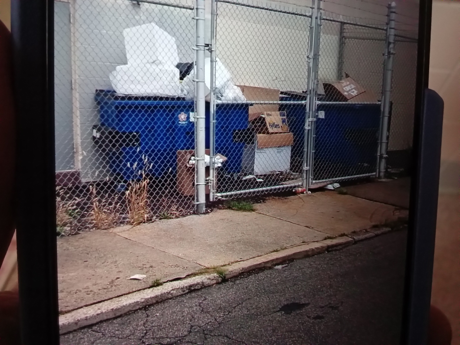 Photographic documentation of the work as submitted to the city's 311 record.