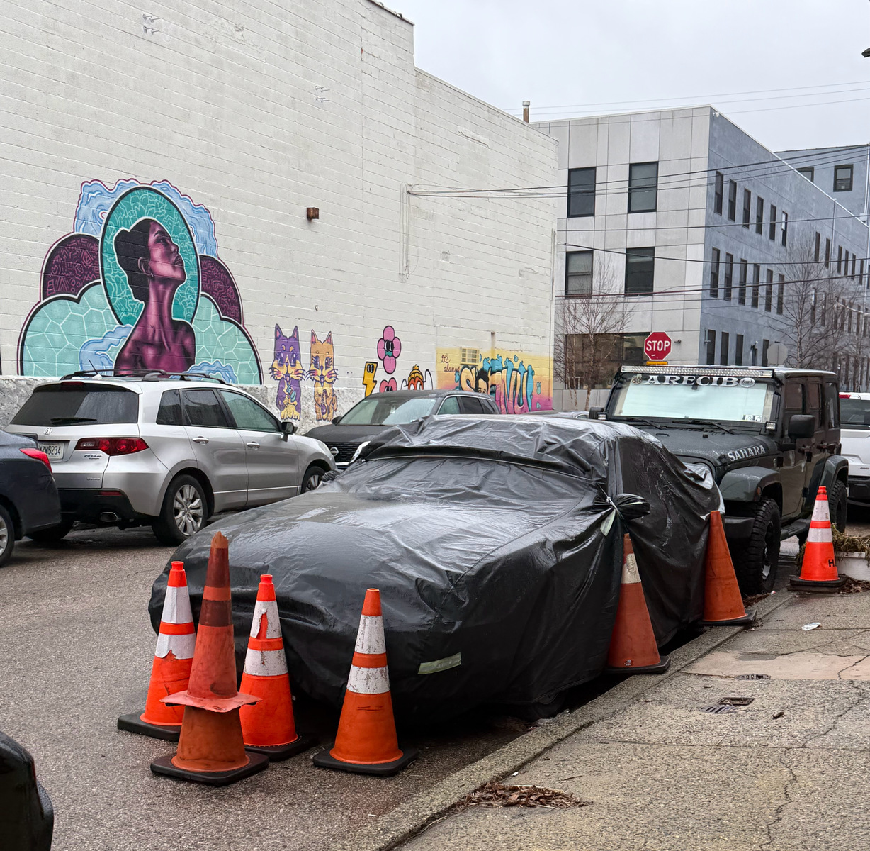 Photographic documentation of the work as submitted to the city's 311 record.