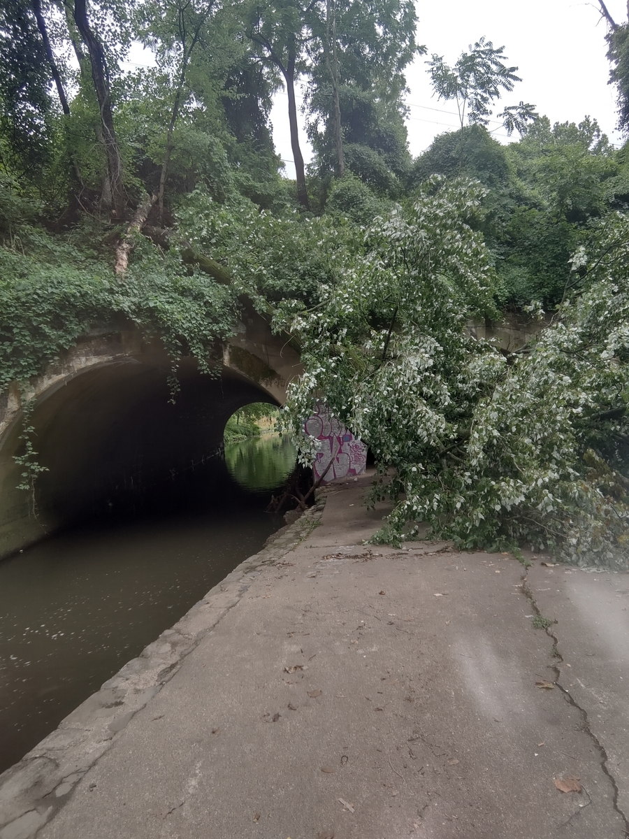 Photographic documentation of the work as submitted to the city's 311 record.