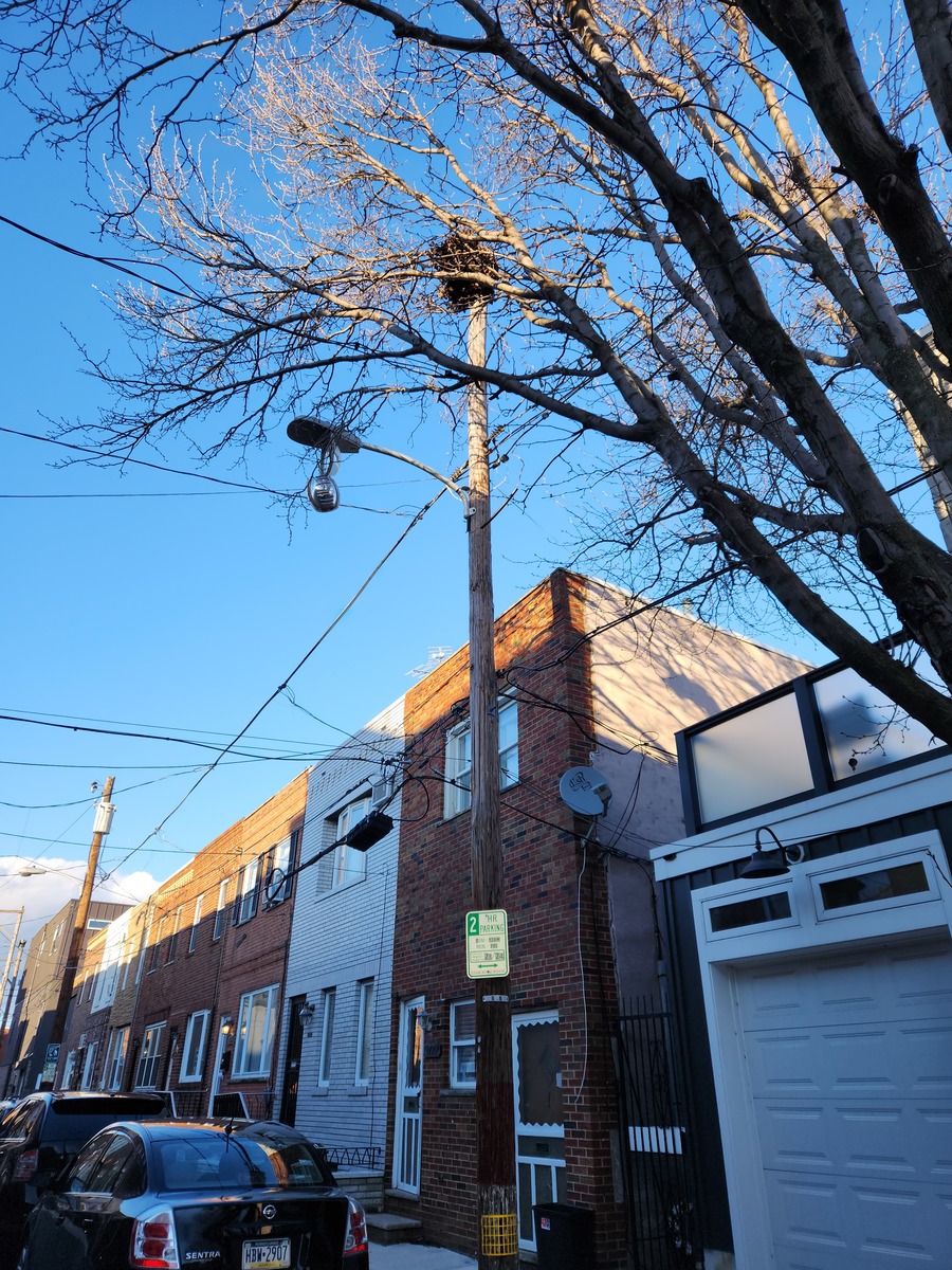 Photographic documentation of the work as submitted to the city's 311 record.