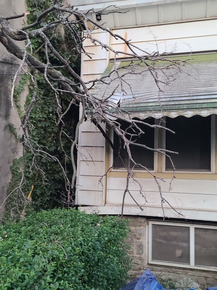 Photographic documentation of the work as submitted to the city's 311 record.