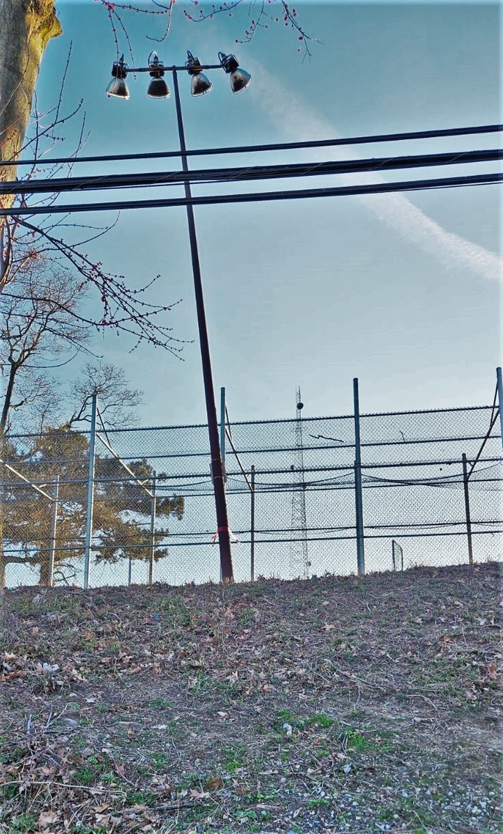 Photographic documentation of the work as submitted to the city's 311 record.