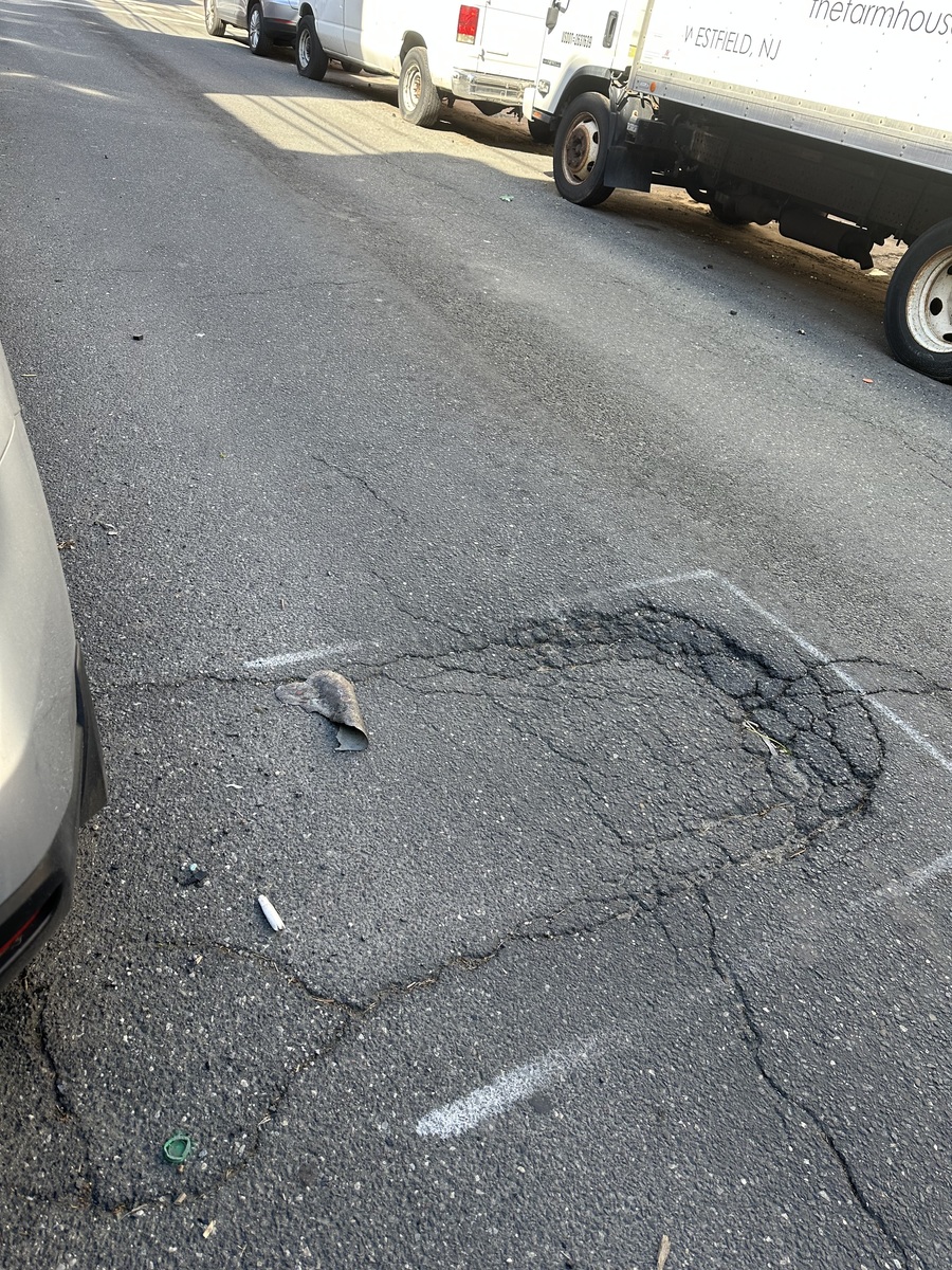 Photographic documentation of the work as submitted to the city's 311 record.