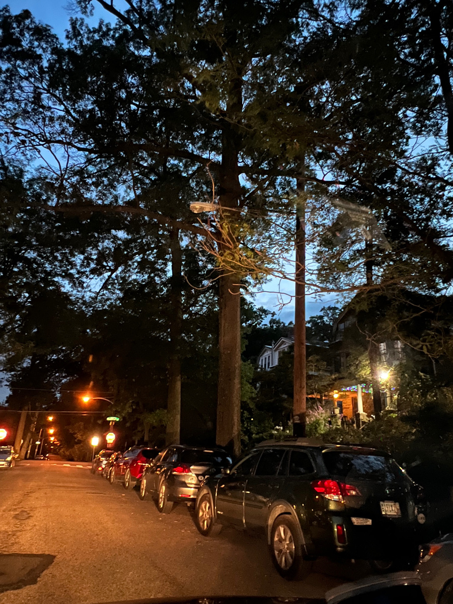 Photographic documentation of the work as submitted to the city's 311 record.
