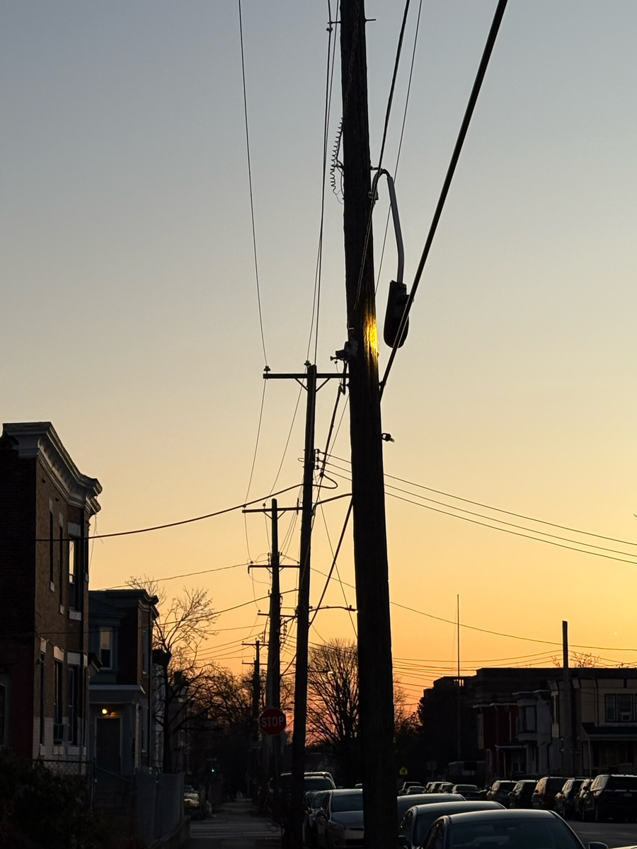 Photographic documentation of the work as submitted to the city's 311 record.