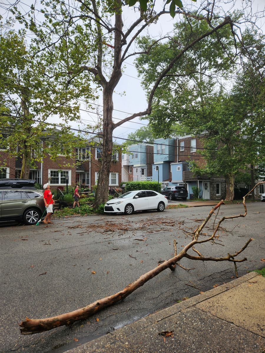 Photographic documentation of the work as submitted to the city's 311 record.